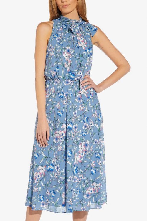 Adrianna Papell Tie Halter Neck Sleeveless Blouson Floral Print Fit & Flare Chiffon Dress
