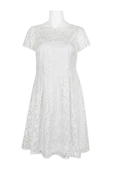 Adrianna Papell Boat Neck Short Sleeve A-Line Box Pleat Zipper Back Embroidered Dress
